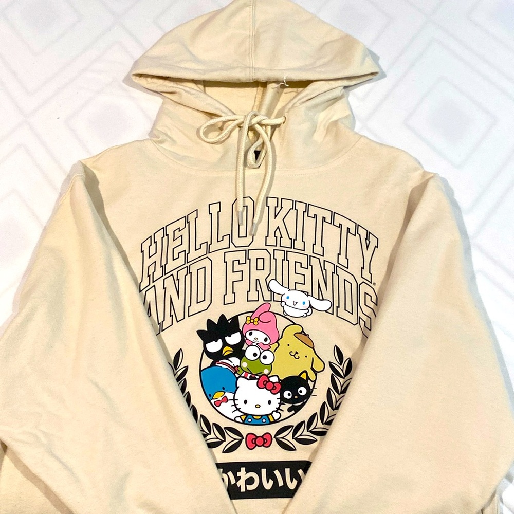 Hello Kitty And Friends Hoodie